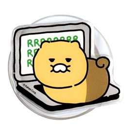 [S2B] Kakao Friends Choonsik Ordinary Day MaxStand Tok 